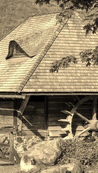 Szary + Sepia