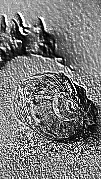 Skamielina