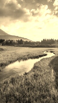 Szary + Sepia