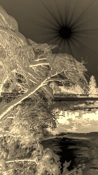 Sepia + Negatyw