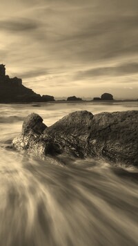 Szary + Sepia