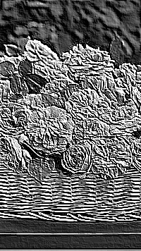 Skamielina