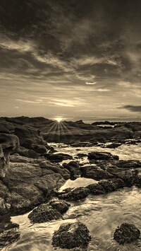 Szary + Sepia