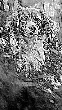 Skamielina