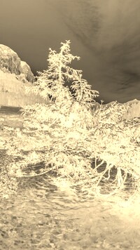 Sepia + Negatyw