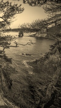 Sepia