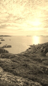 Sepia