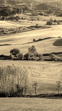 Sepia