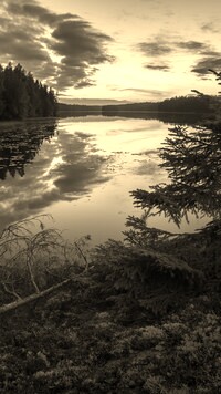Szary + Sepia