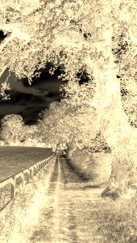 Sepia + Negatyw