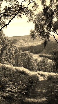 Szary + Sepia