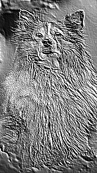 Skamielina