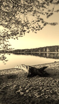 Szary + Sepia