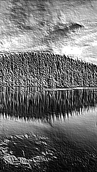 Skamielina