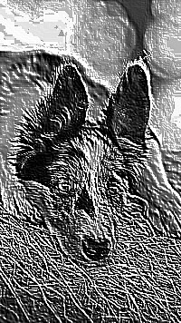 Skamielina