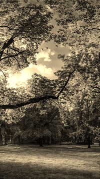 Szary + Sepia