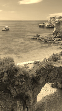 Sepia