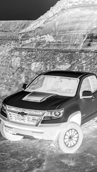 Szary + Negatyw