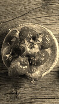 Szary + Sepia