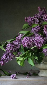 Oryginalny obrazek