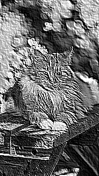 Skamielina