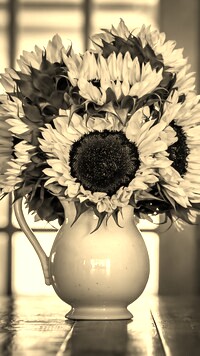 Szary + Sepia