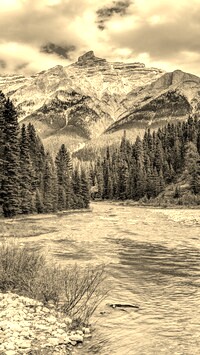 Sepia