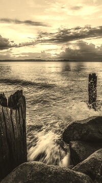 Szary + Sepia