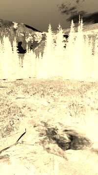 Sepia + Negatyw