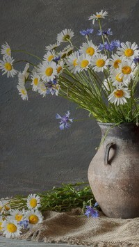 Oryginalny obrazek