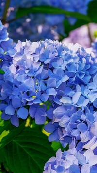 Oryginalny obrazek