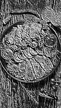 Skamielina