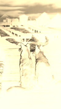 Sepia + Negatyw