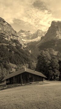 Szary + Sepia
