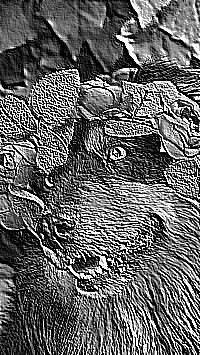 Skamielina