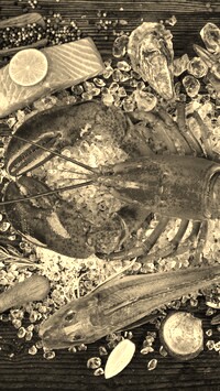 Szary + Sepia