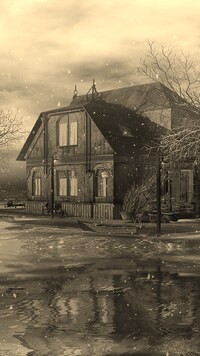 Szary + Sepia