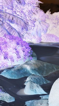 Negatyw