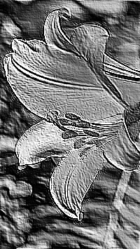 Skamielina