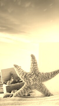 Szary + Sepia