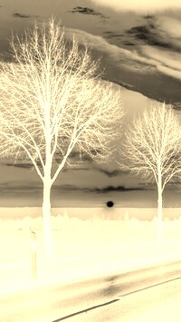 Sepia + Negatyw