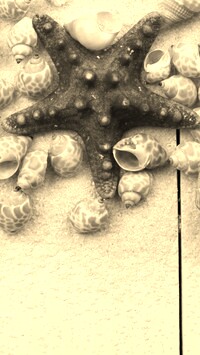 Sepia