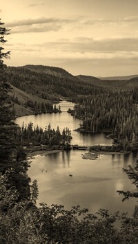 Szary + Sepia