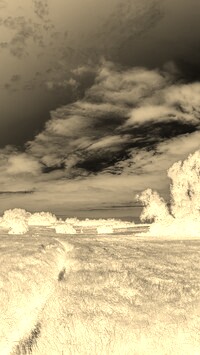 Sepia + Negatyw
