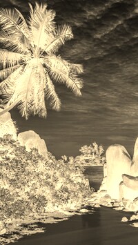 Sepia + Negatyw