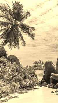 Szary + Sepia