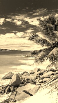 Szary + Sepia