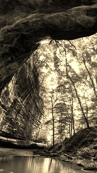 Szary + Sepia