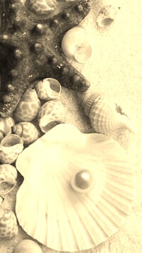 Szary + Sepia