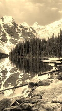 Szary + Sepia